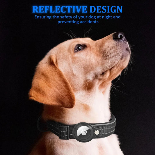 Dog wearing the Find My Pet tracker collar