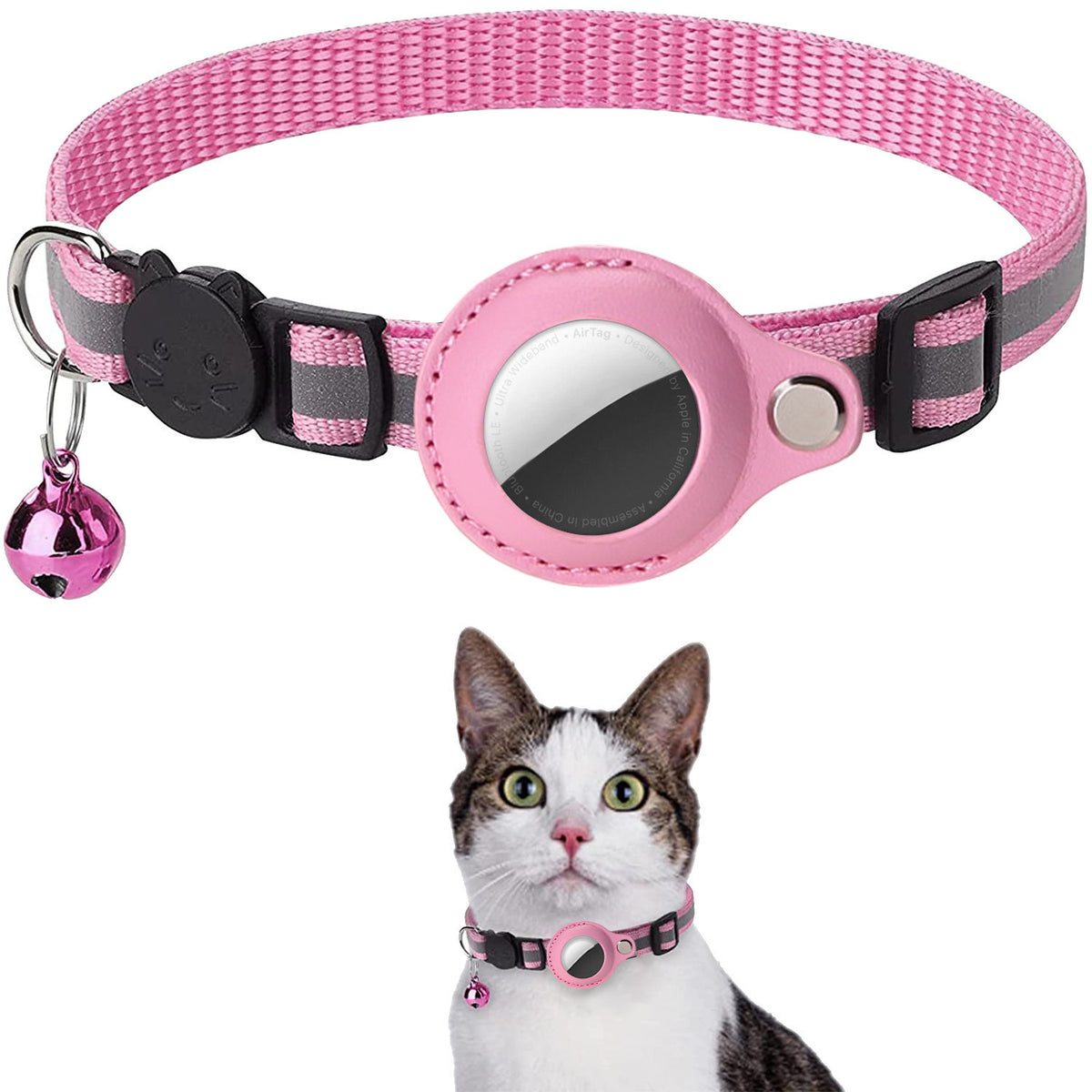 Cat wearing the Find My Pet breakaway tracker collar