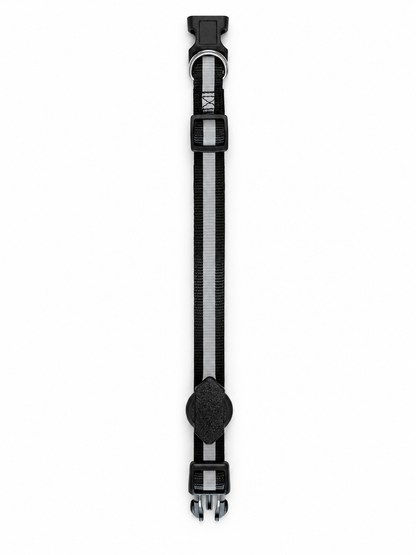Reflective Dog Collar